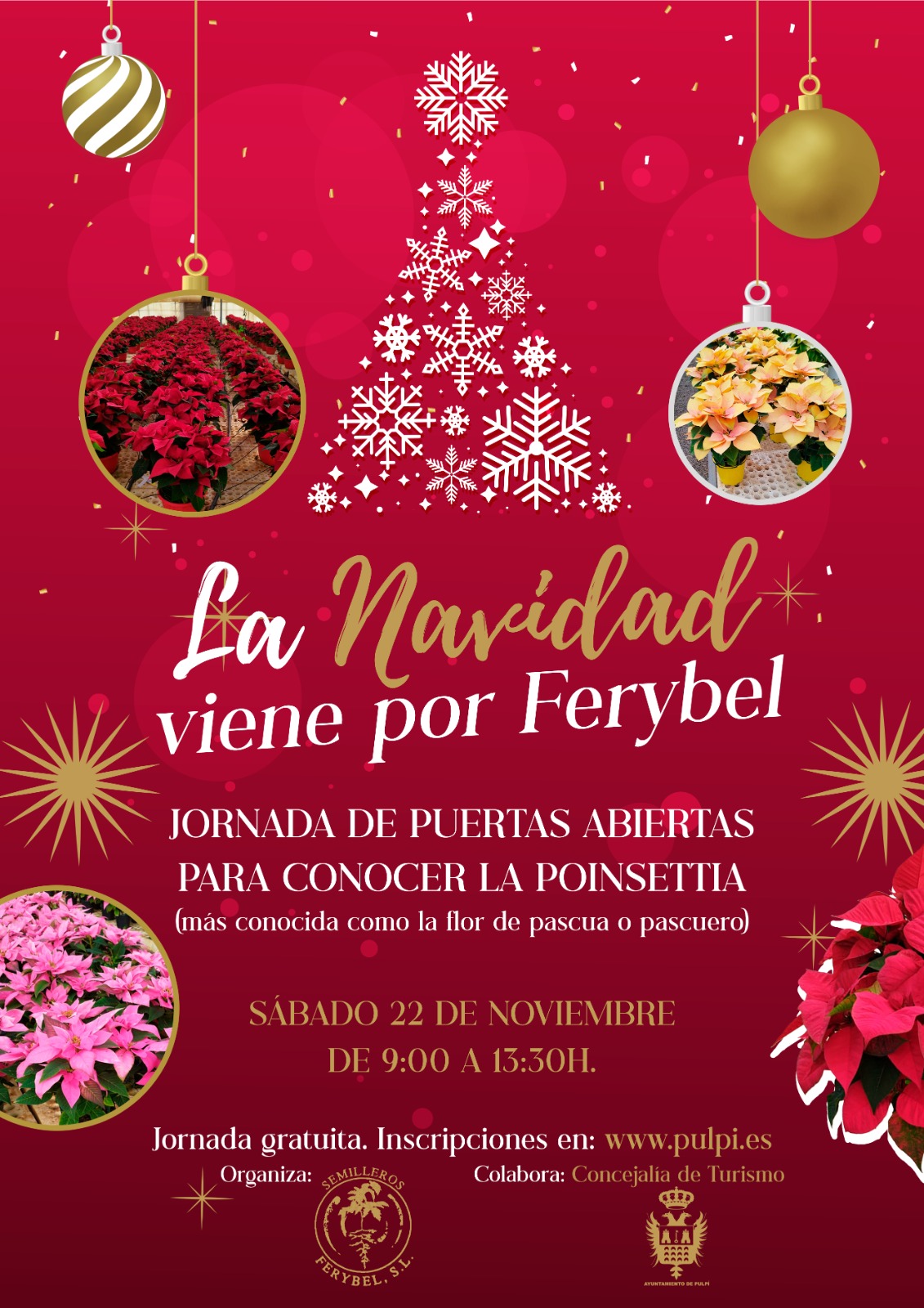 “LA MAGIA DE LA NAVIDAD VIENE POR FERYBEL”